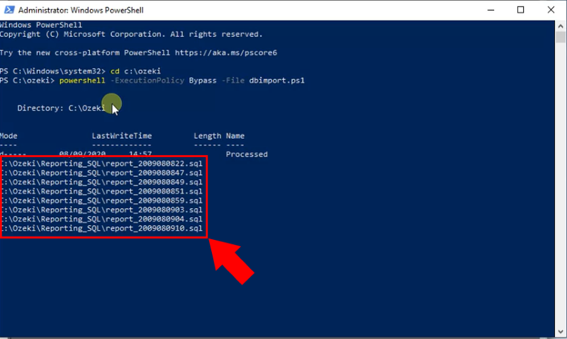 Skript führt SQL-Abfragen aus