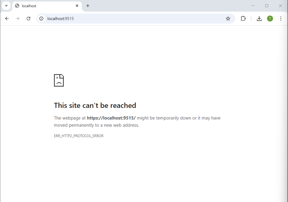 ERR_HTTP2_PROTOCOL_ERROR