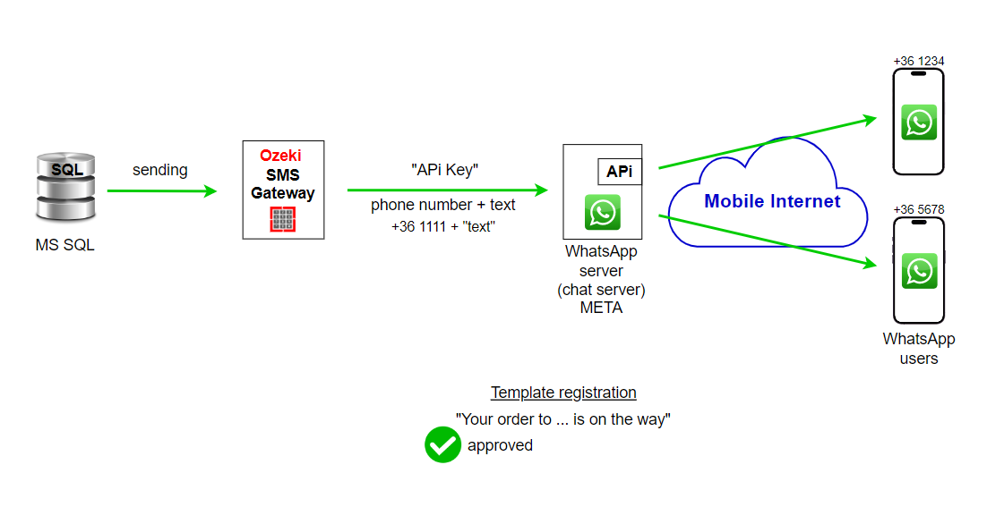 WhatsApp-Verbindung